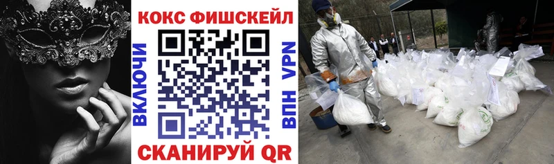 COCAIN FishScale  купить закладку  Зерноград 