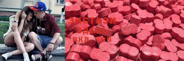 ПСИЛОЦИБИНОВЫЕ ГРИБЫ Новозыбков