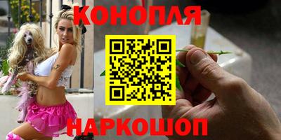 прущие грибы Канаш
