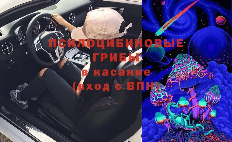 omg ссылка  дарнет шоп  Зерноград  Псилоцибиновые грибы Psilocybe 