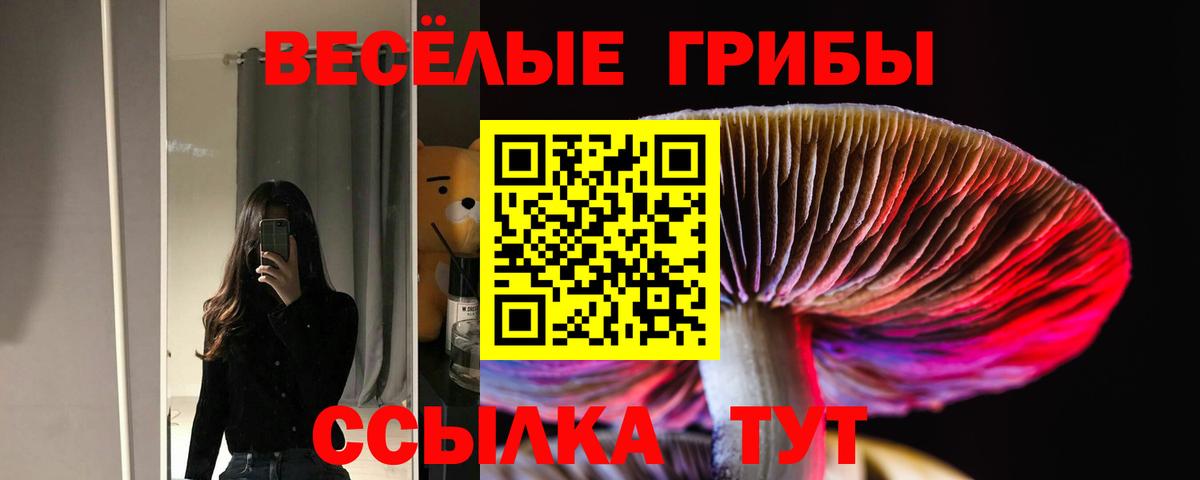 Псилоцибиновые грибы мицелий Зерноград
