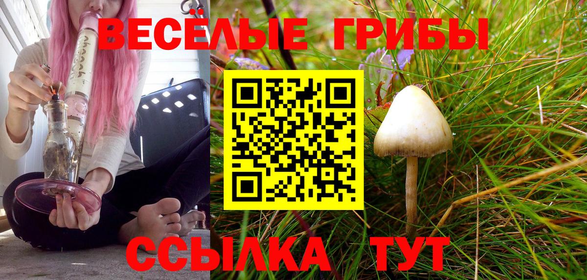 Псилоцибиновые грибы GOLDEN TEACHER  Вход с VPN  Зерноград 